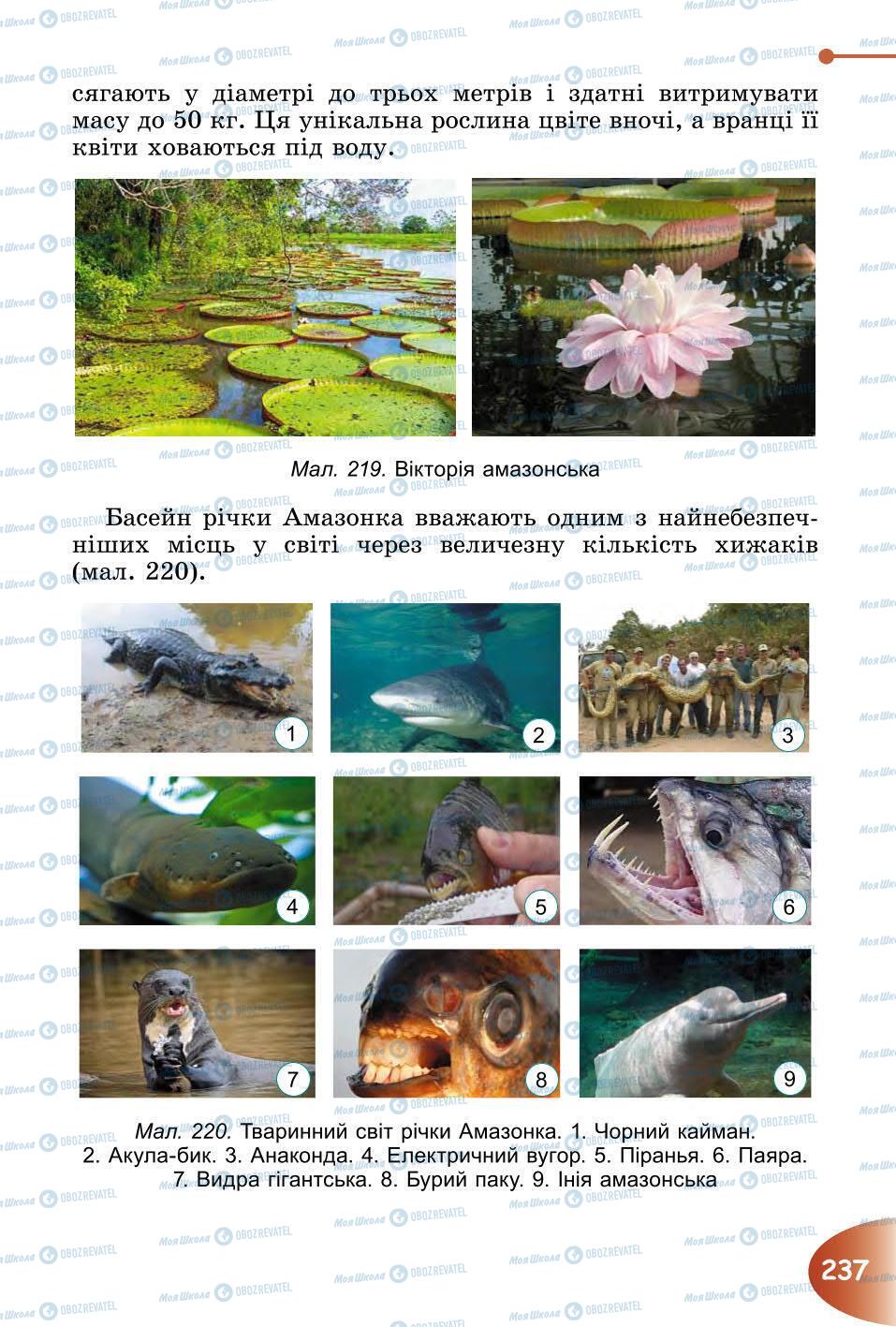 Підручники Природознавство 6 клас сторінка 237