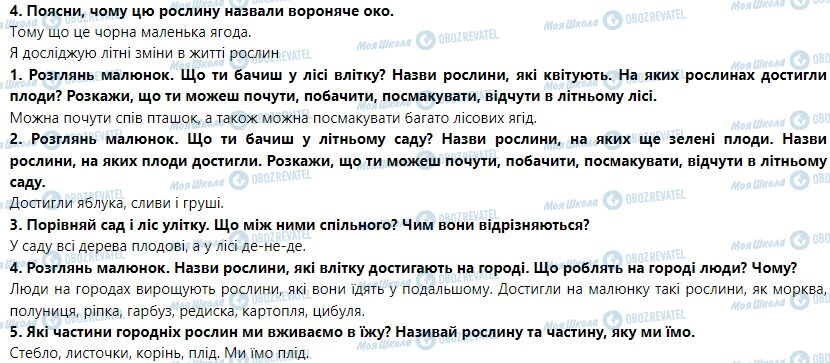 ГДЗ Я досліджую світ 1 клас сторінка Тема 2. Я досліджую природне довкілля влітку