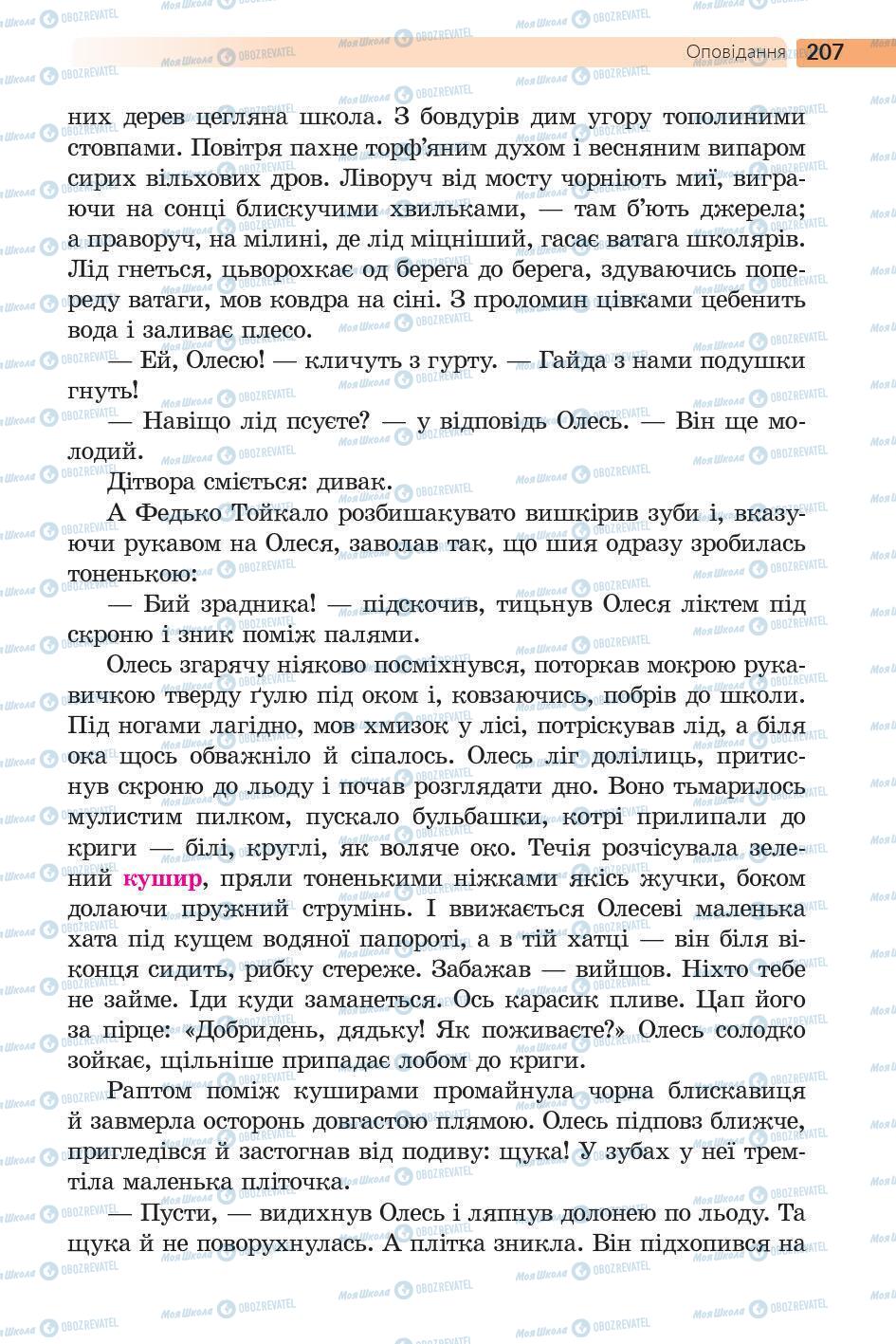Підручники Українська література 5 клас сторінка 208