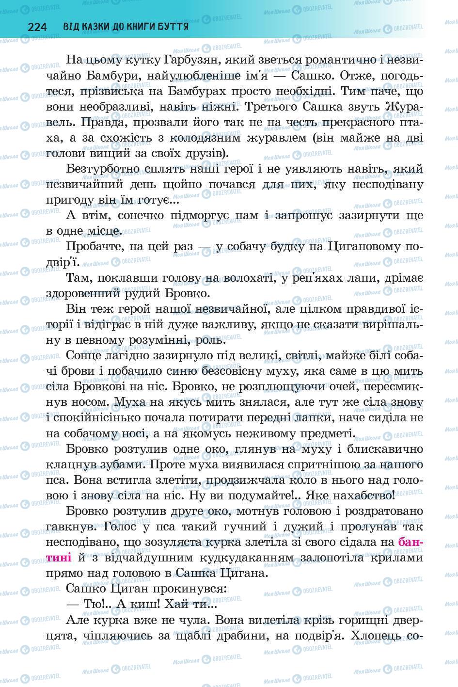 Підручники Українська література 5 клас сторінка 225