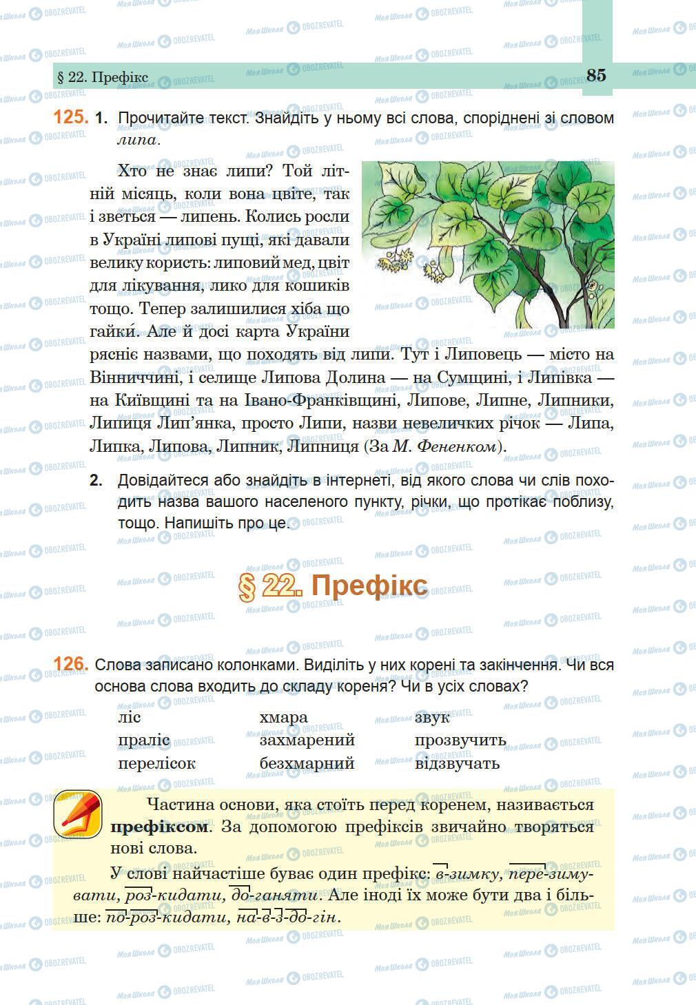 Підручники Українська мова 5 клас сторінка 85