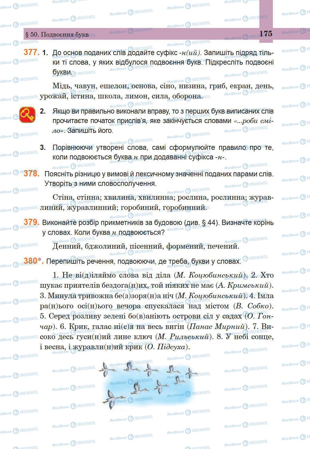 Підручники Українська мова 5 клас сторінка 175