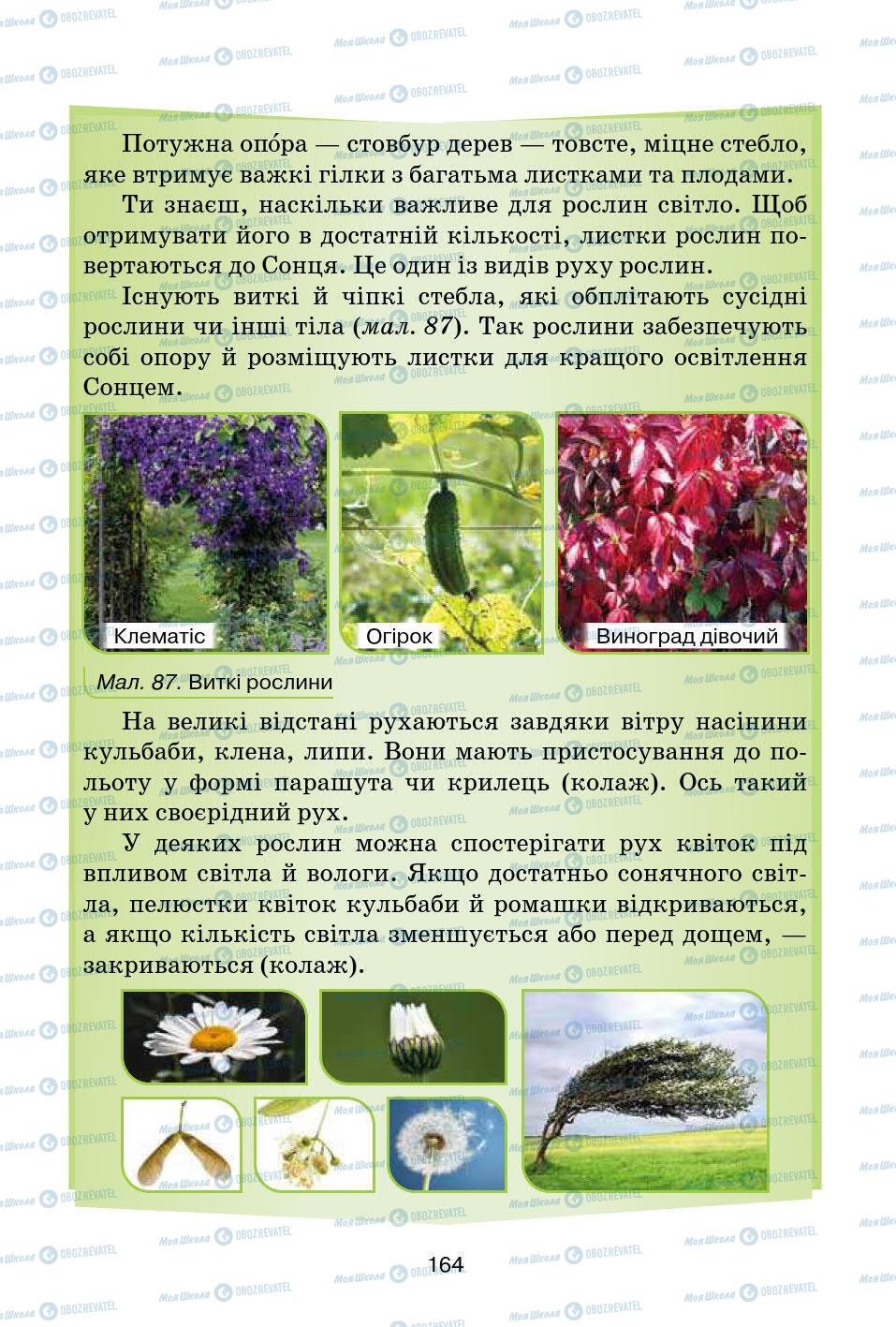 Учебники Природоведение 5 класс страница 164