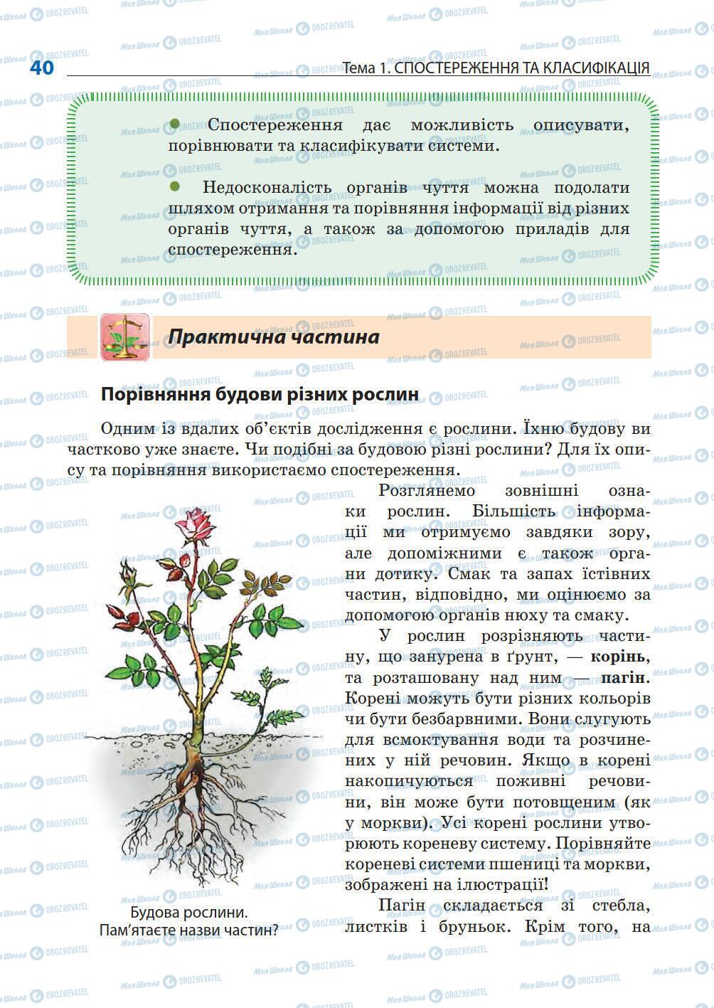 Підручники Природознавство 5 клас сторінка 40