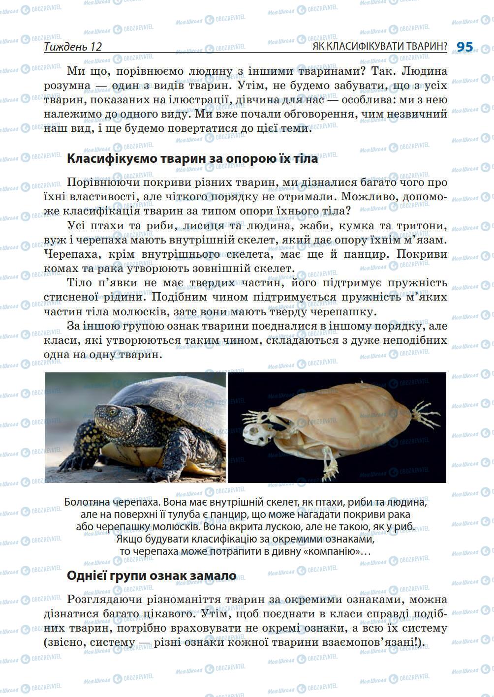 Підручники Природознавство 5 клас сторінка 95
