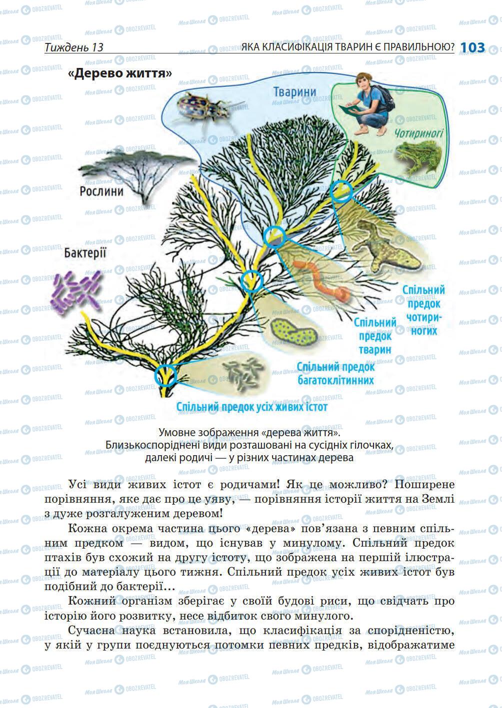 Підручники Природознавство 5 клас сторінка 103