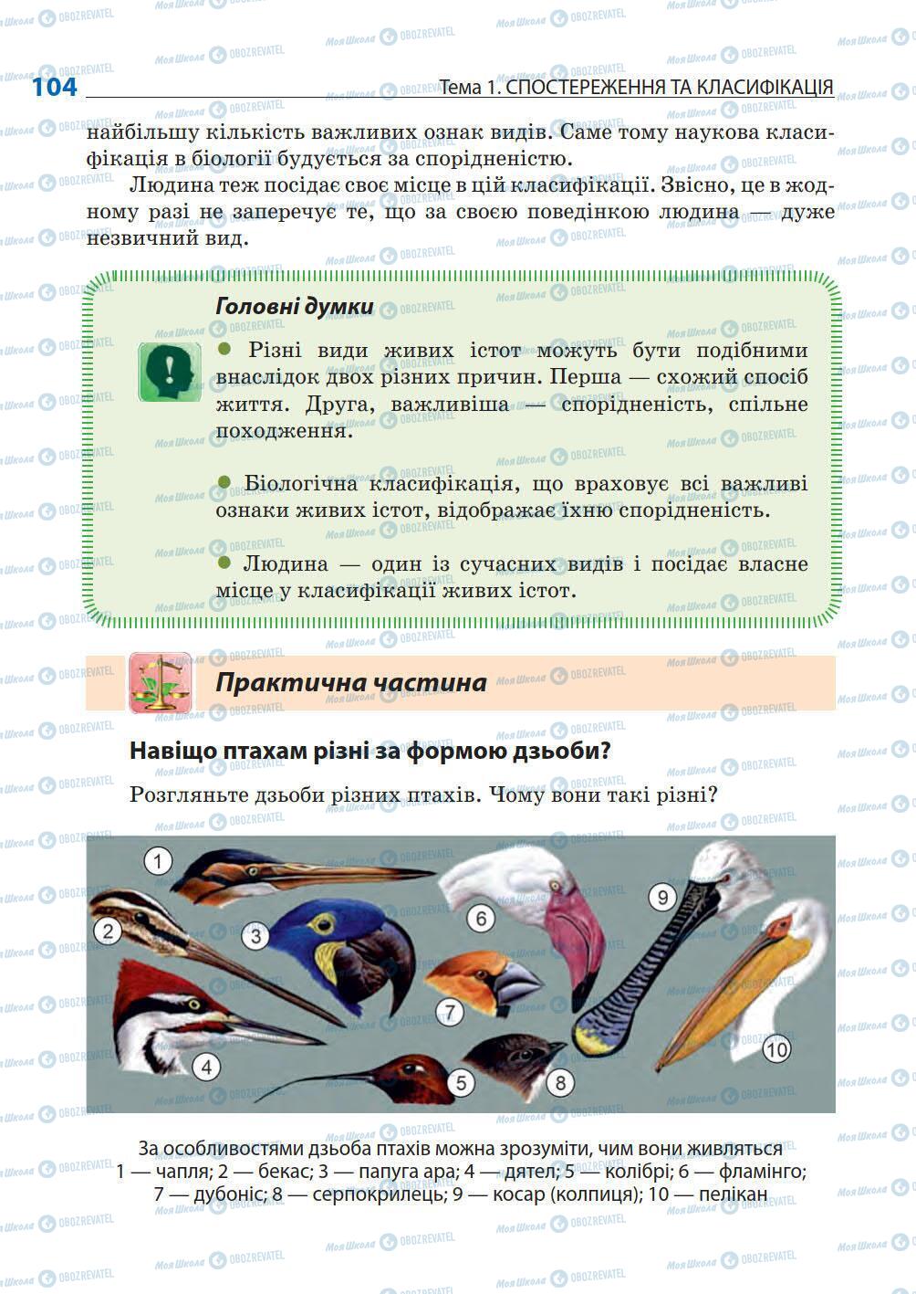 Підручники Природознавство 5 клас сторінка 104