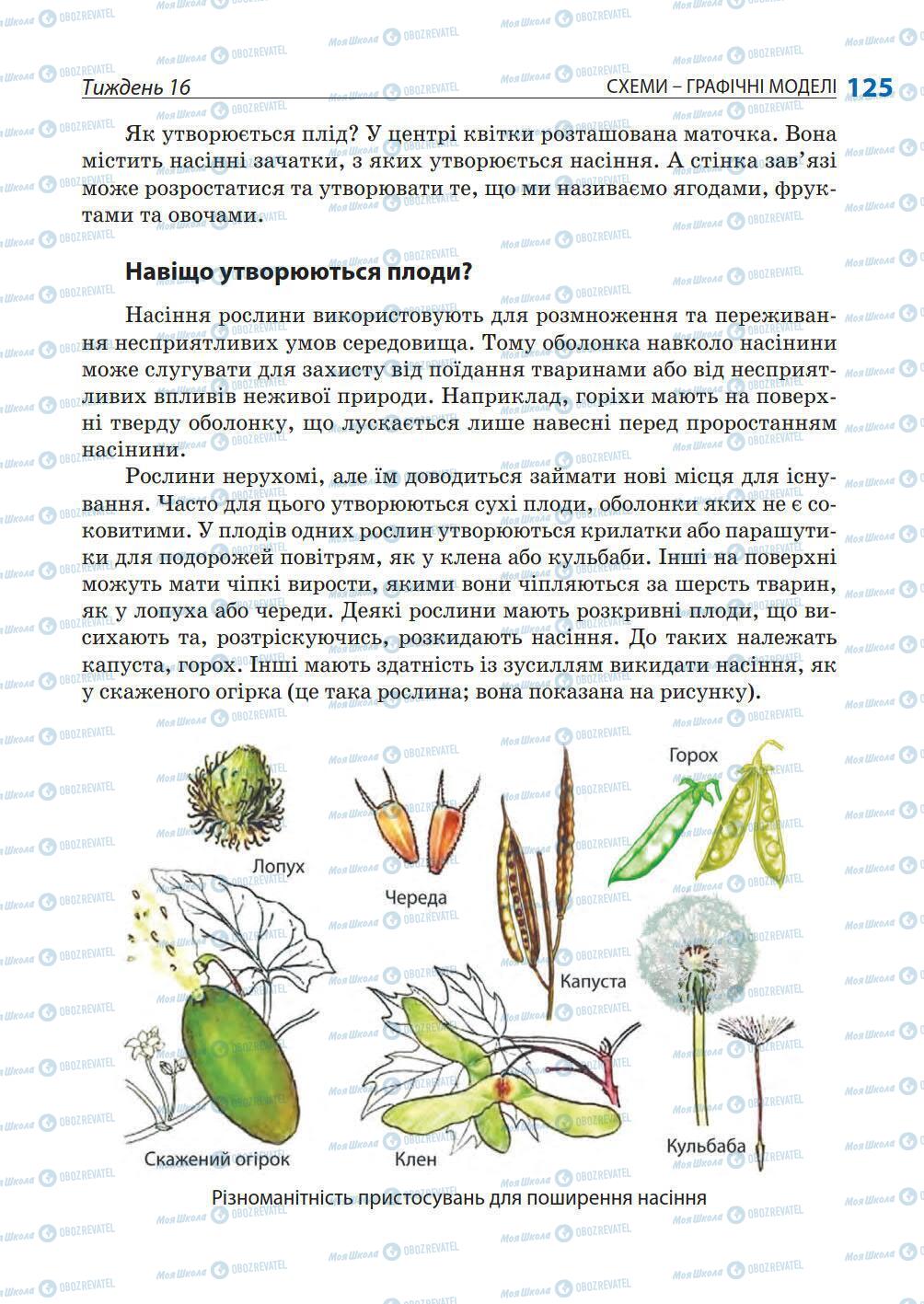 Підручники Природознавство 5 клас сторінка 125