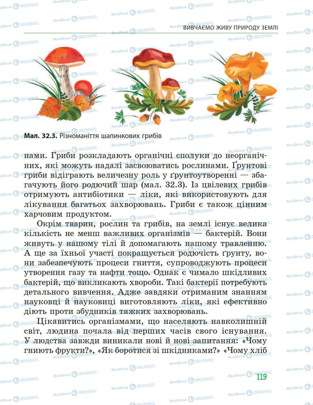 Підручники Природознавство 5 клас сторінка 119