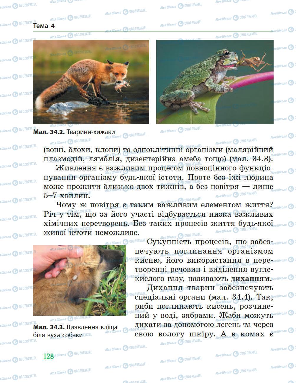 Учебники Природоведение 5 класс страница 128