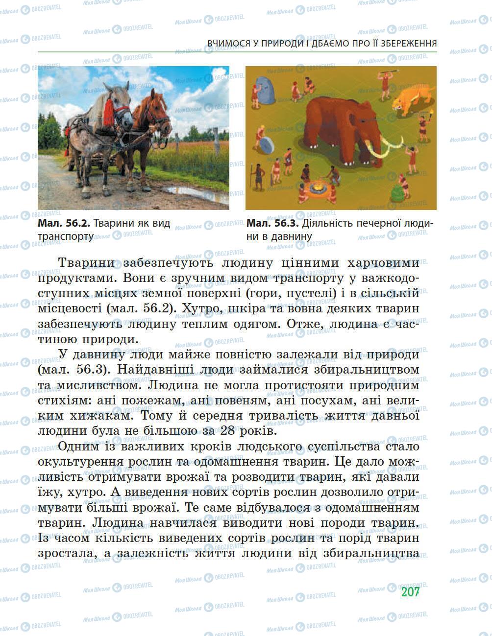 Підручники Природознавство 5 клас сторінка 207