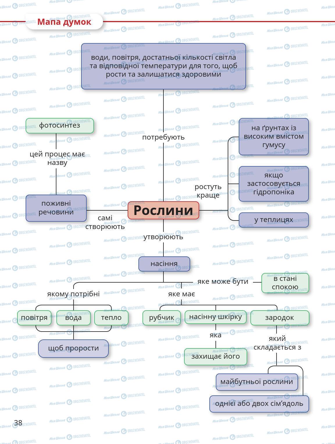 Підручники Природознавство 5 клас сторінка 38