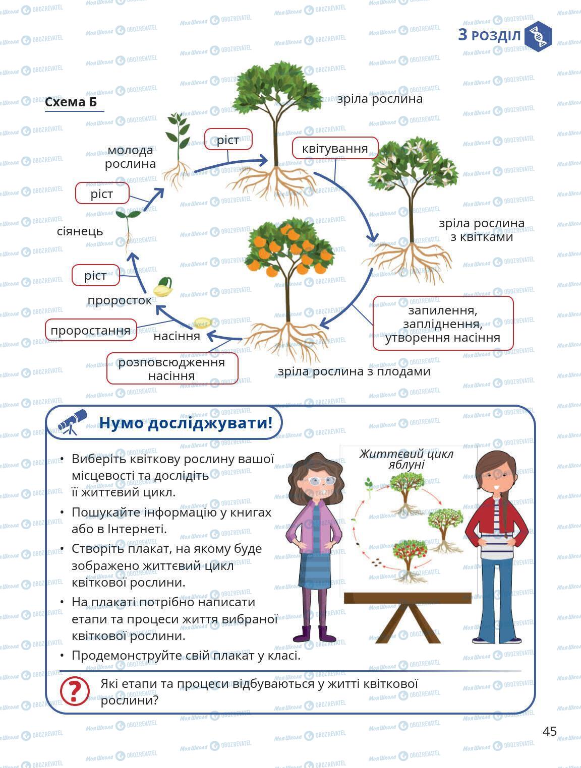 Підручники Природознавство 5 клас сторінка 45