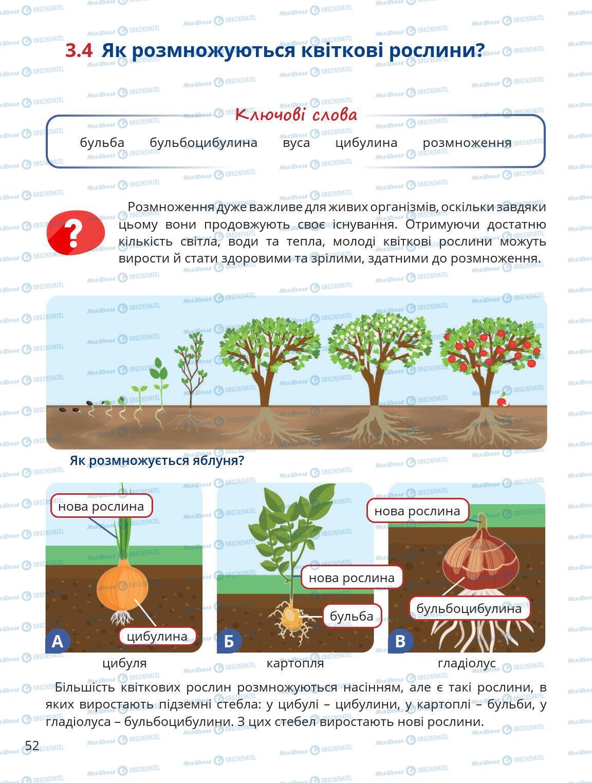 Учебники Природоведение 5 класс страница 52