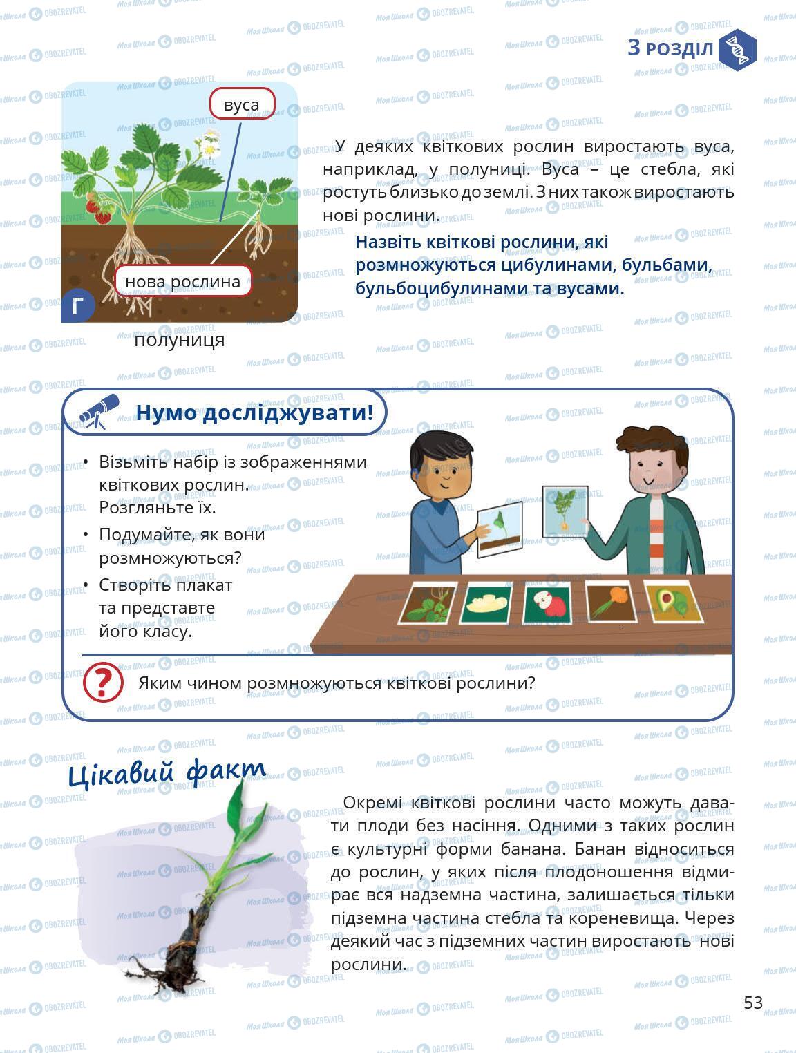 Підручники Природознавство 5 клас сторінка 53