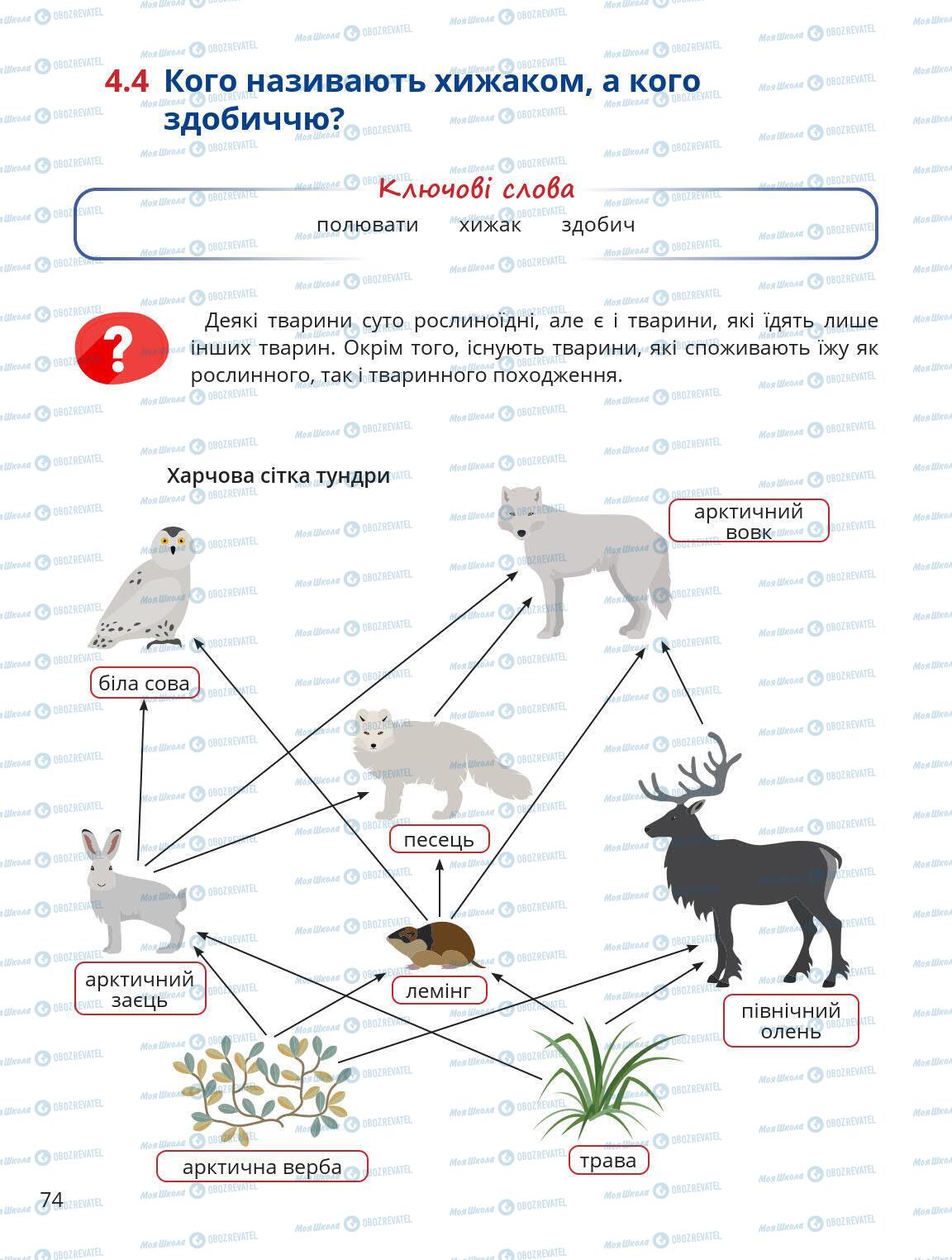 Підручники Природознавство 5 клас сторінка 74