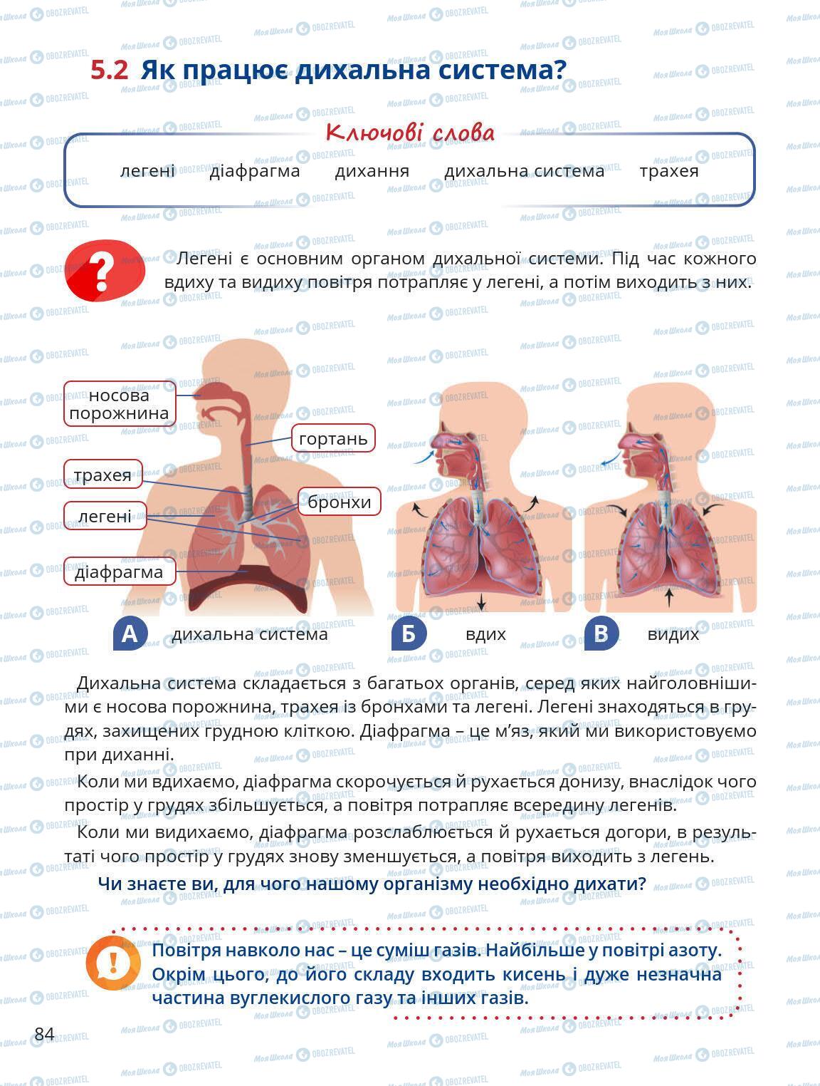 Підручники Природознавство 5 клас сторінка 84
