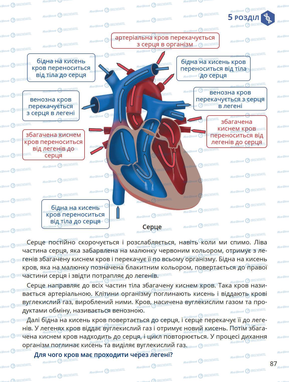 Підручники Природознавство 5 клас сторінка 87