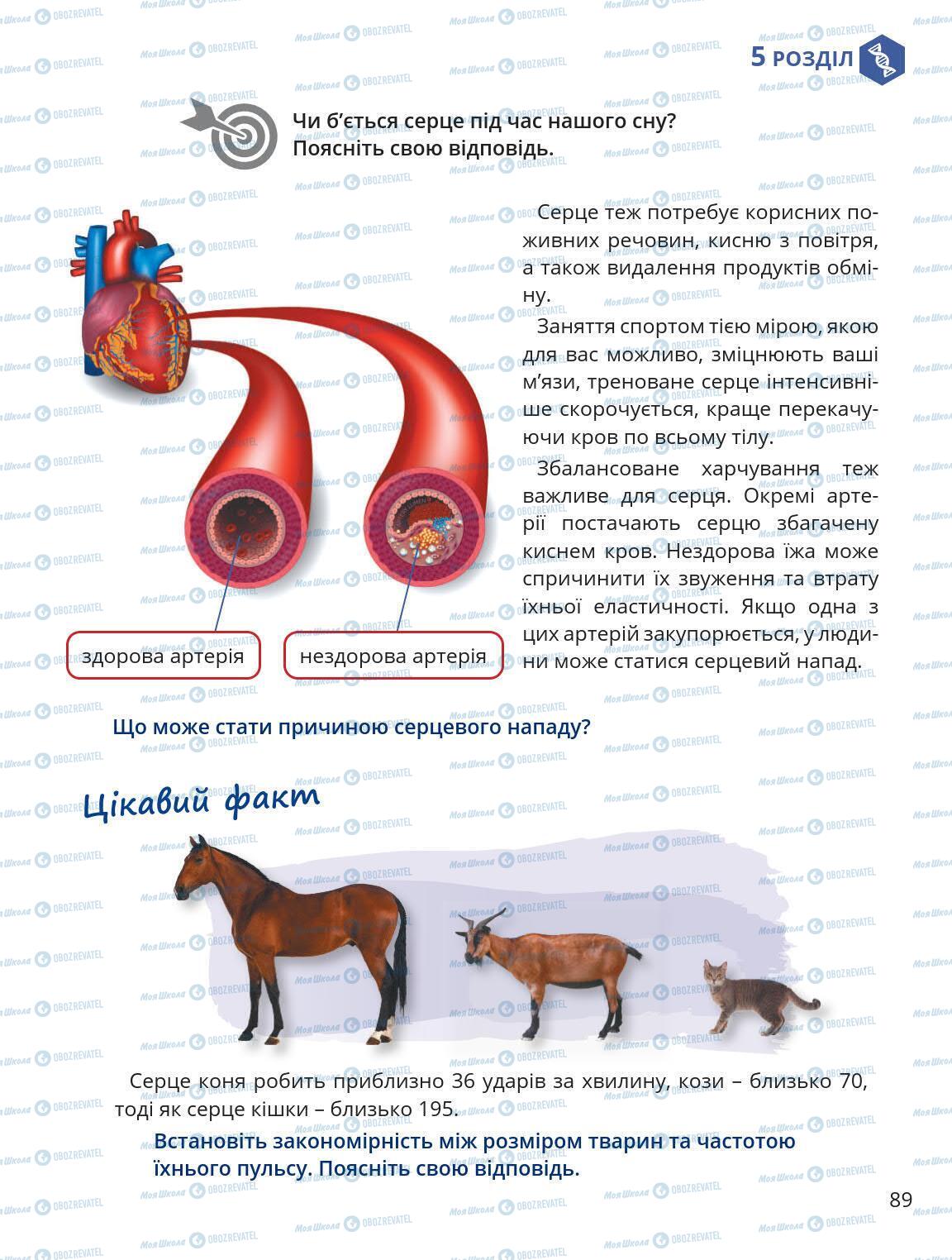 Підручники Природознавство 5 клас сторінка 89