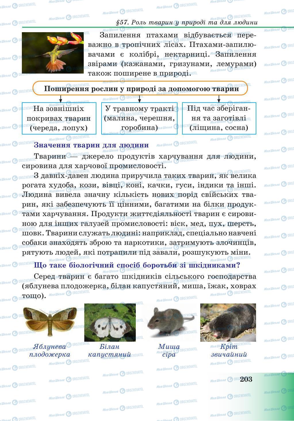 Підручники Природознавство 5 клас сторінка 203