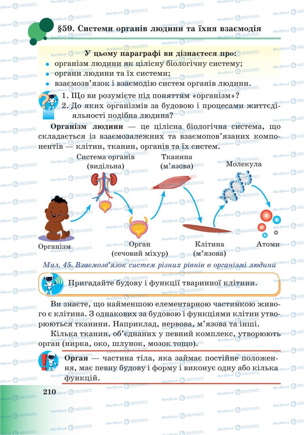 Підручники Природознавство 5 клас сторінка 210