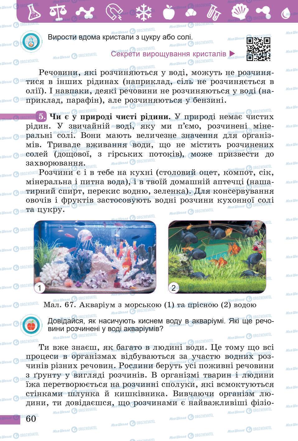 Підручники Природознавство 5 клас сторінка 60