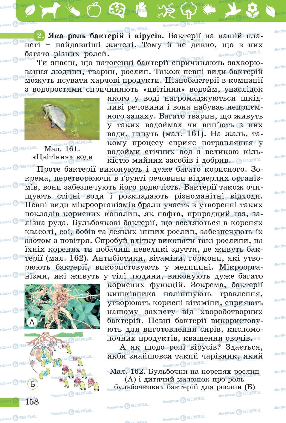 Підручники Природознавство 5 клас сторінка 158