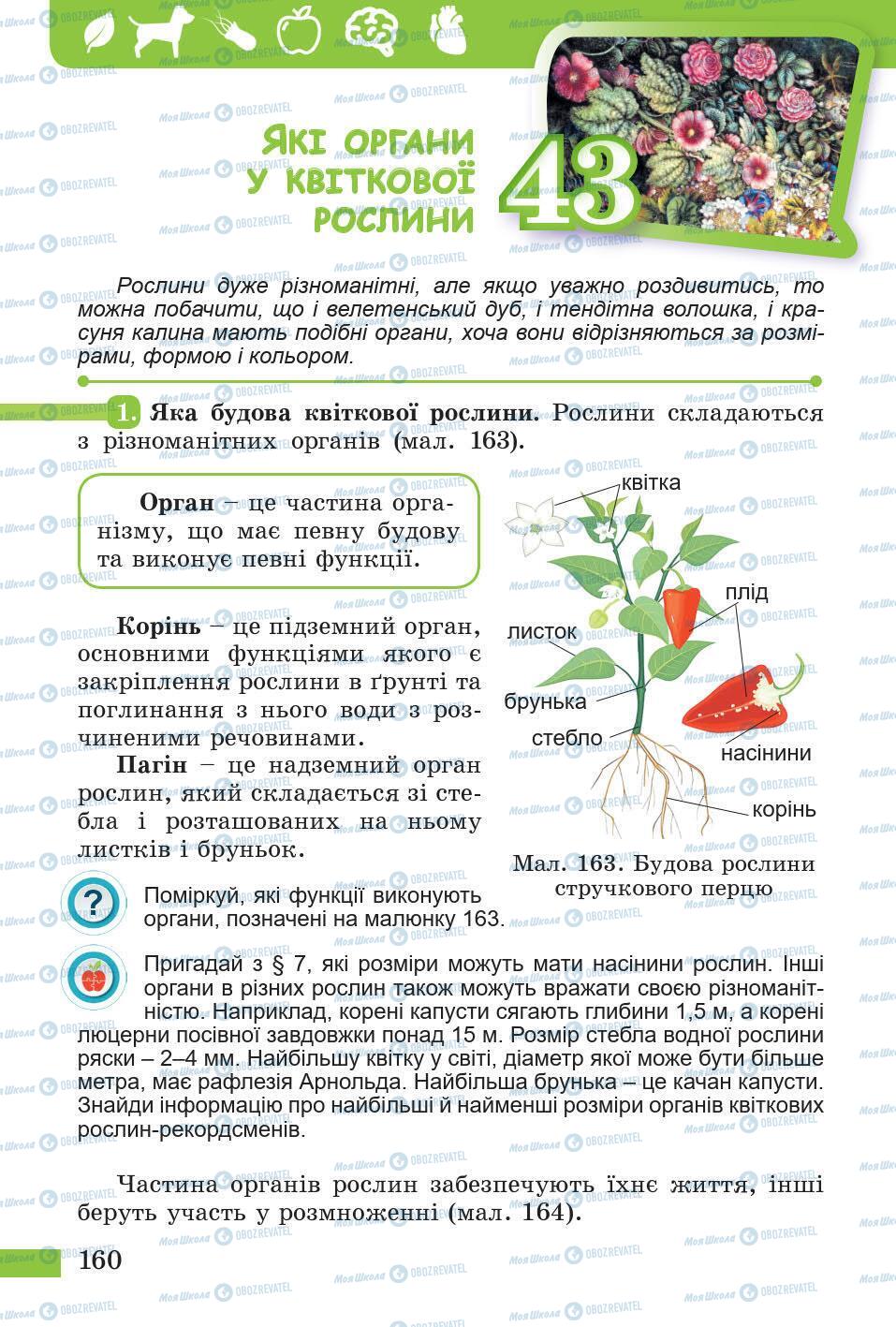 Підручники Природознавство 5 клас сторінка 160