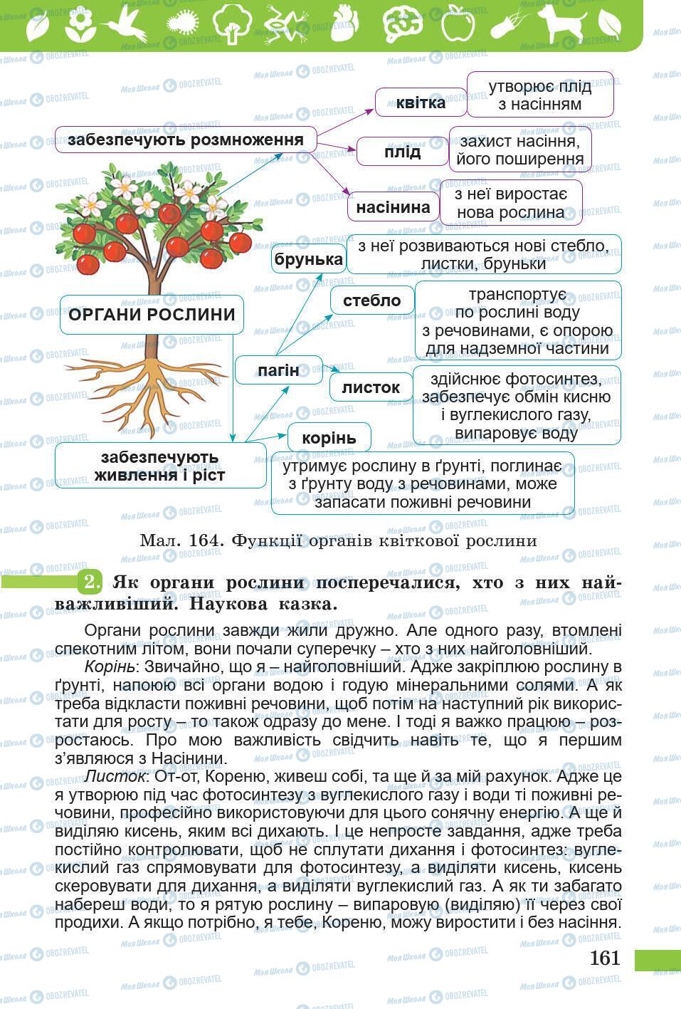 Підручники Природознавство 5 клас сторінка 161