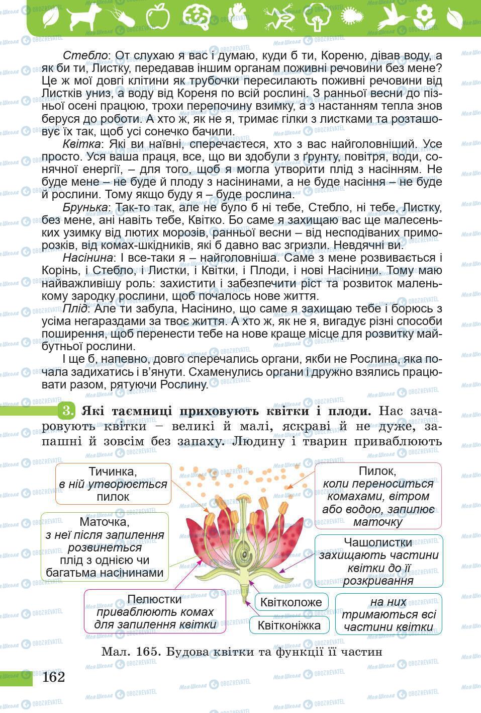 Підручники Природознавство 5 клас сторінка 162