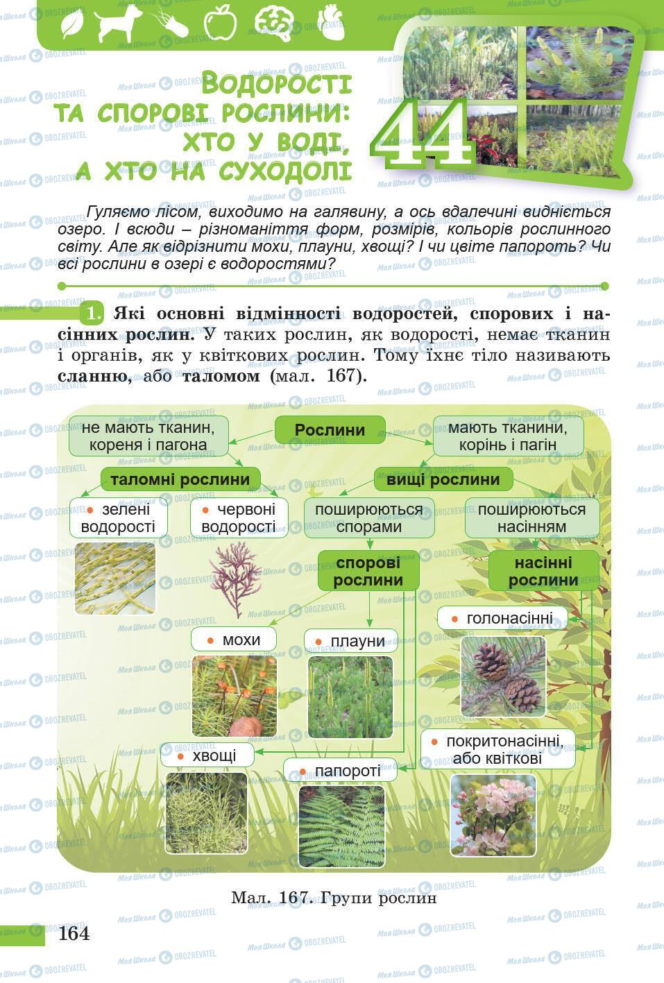 Підручники Природознавство 5 клас сторінка 164