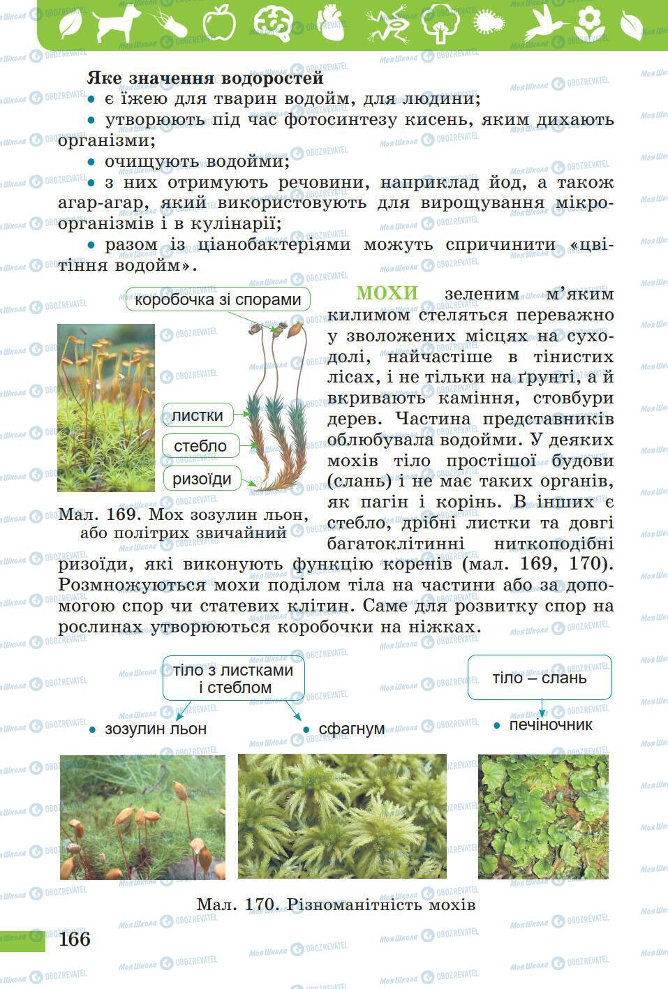 Підручники Природознавство 5 клас сторінка 166