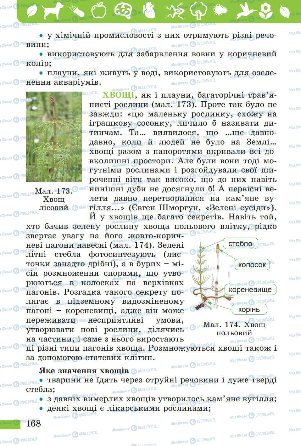 Підручники Природознавство 5 клас сторінка 168