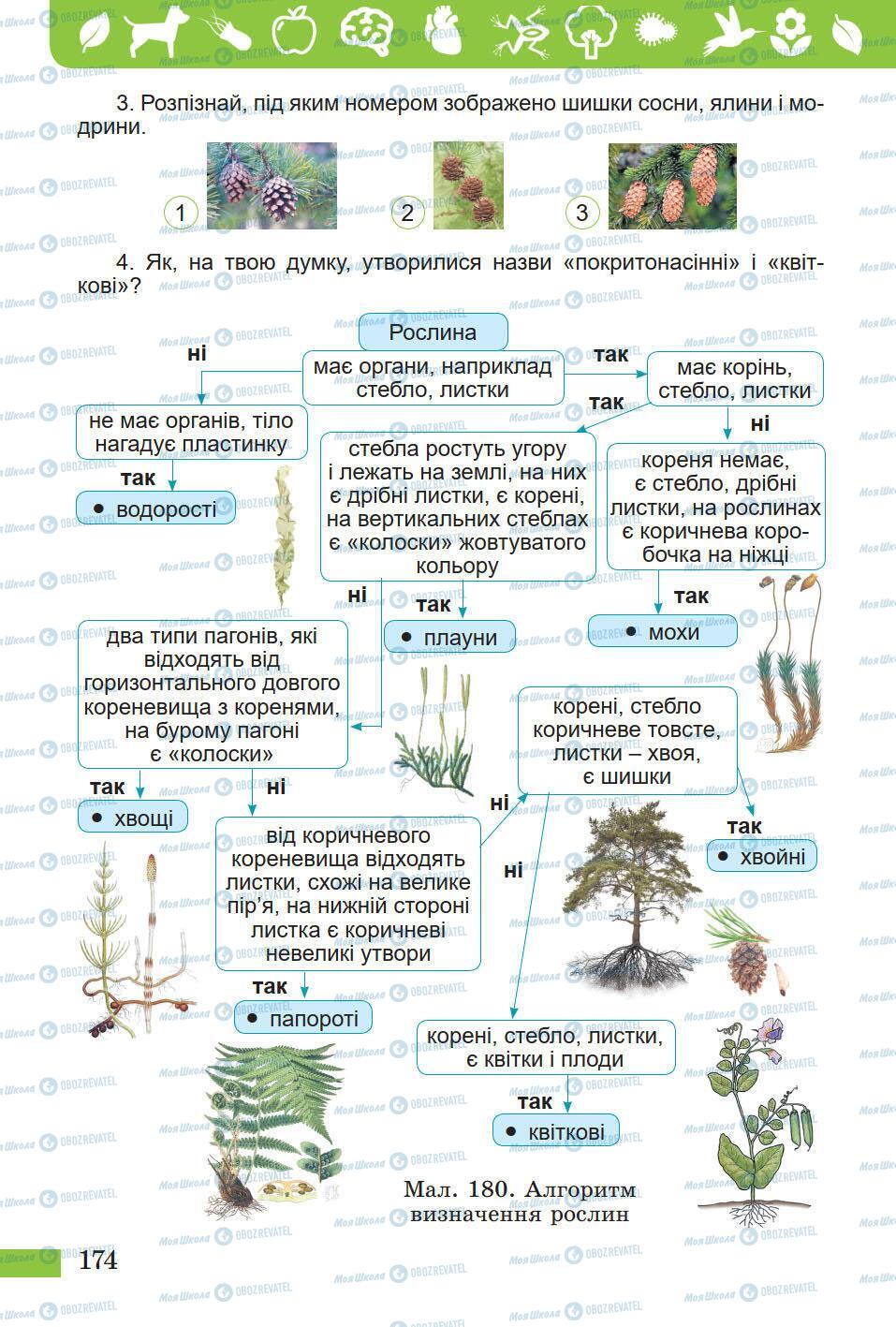 Підручники Природознавство 5 клас сторінка 174