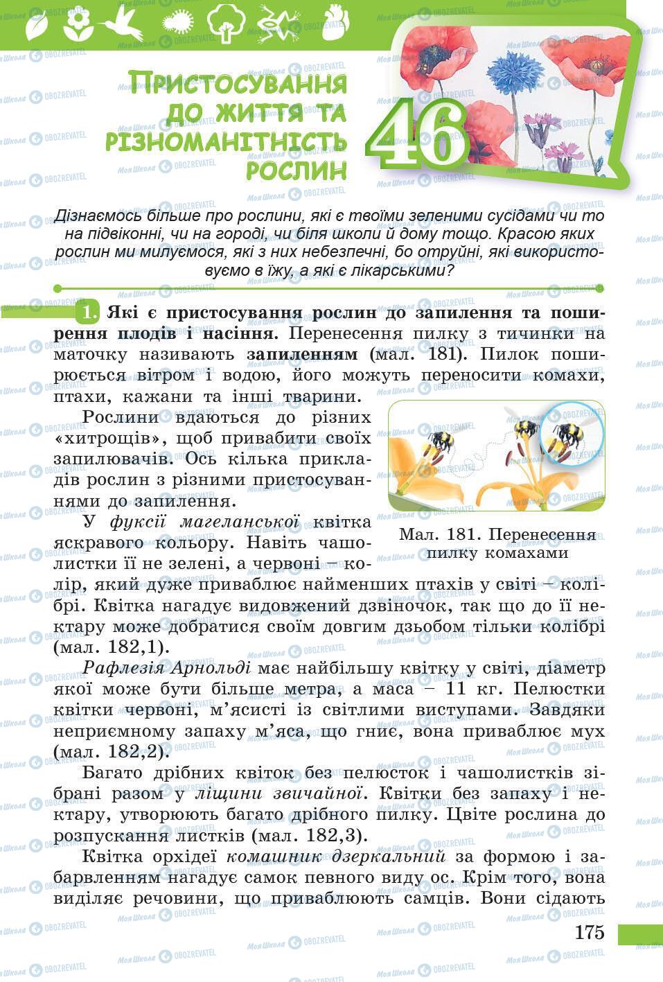 Підручники Природознавство 5 клас сторінка 175