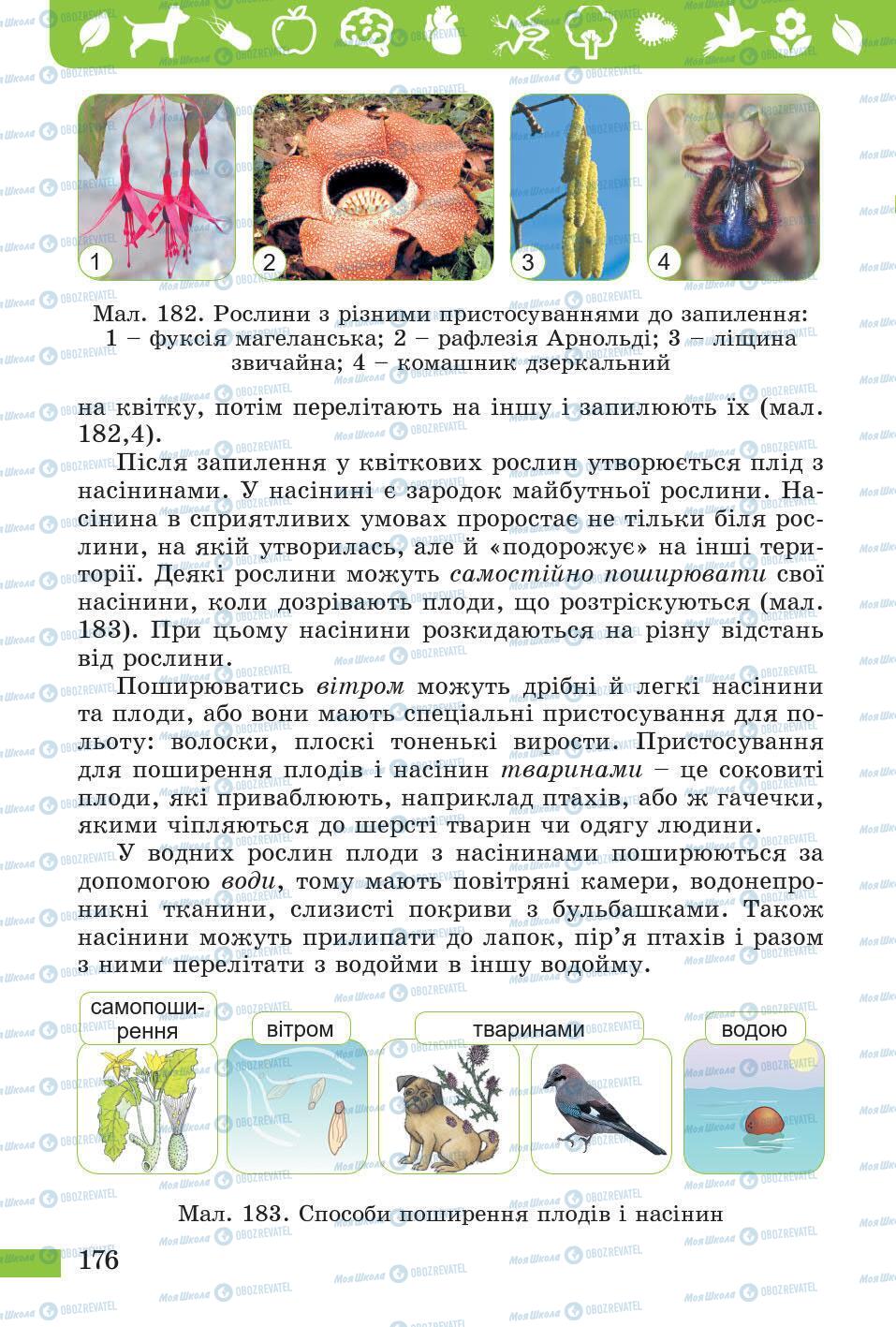 Підручники Природознавство 5 клас сторінка 176