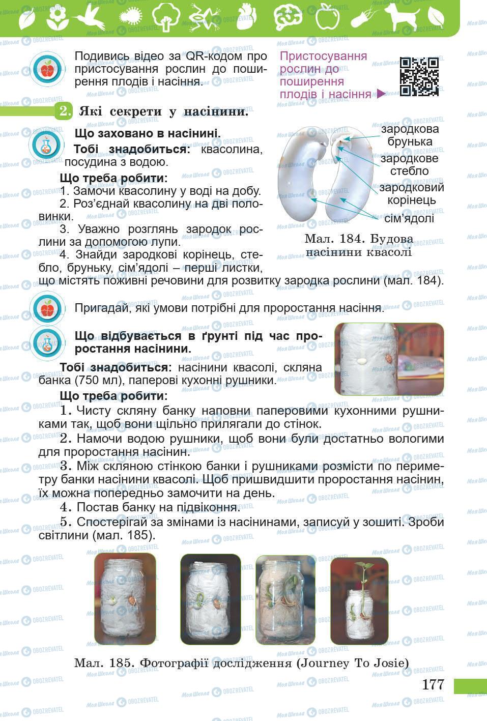 Підручники Природознавство 5 клас сторінка 177