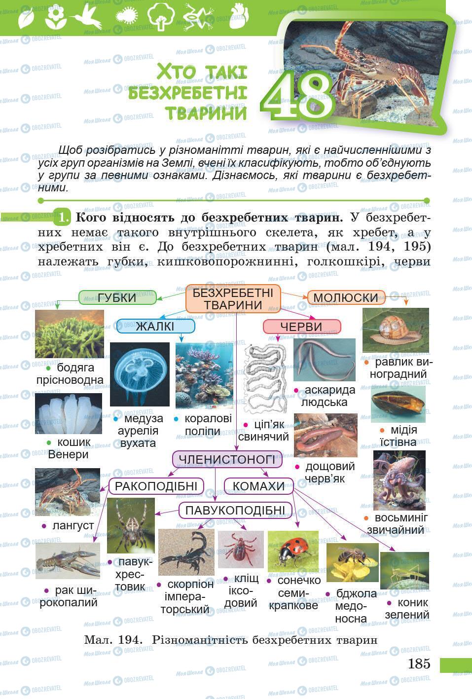 Підручники Природознавство 5 клас сторінка 185