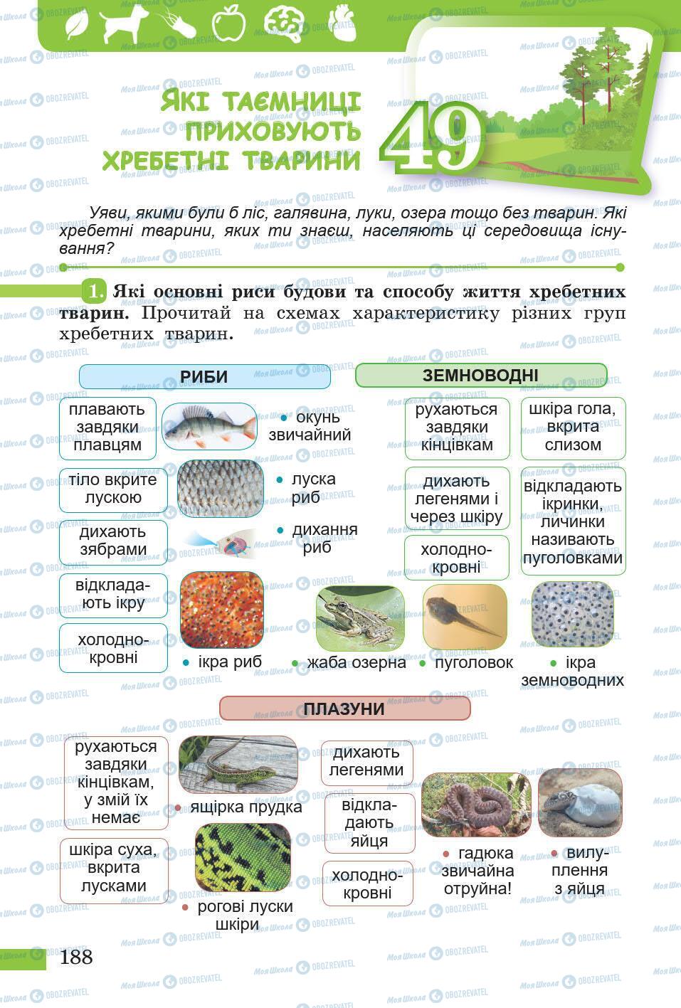 Підручники Природознавство 5 клас сторінка 188