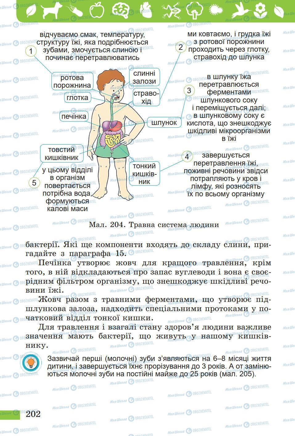 Підручники Природознавство 5 клас сторінка 202