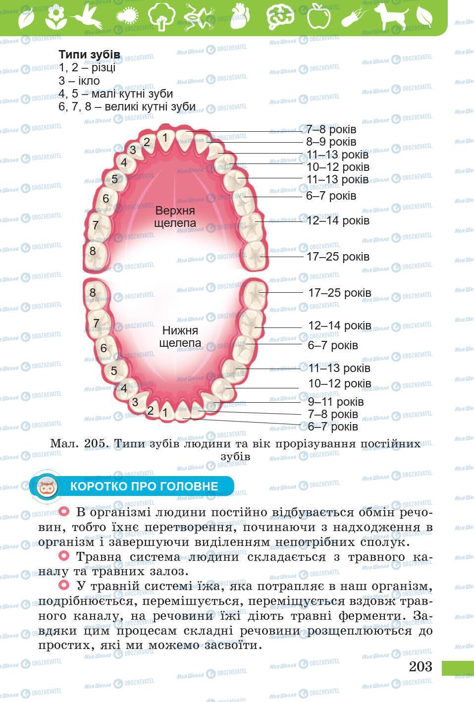 Підручники Природознавство 5 клас сторінка 203