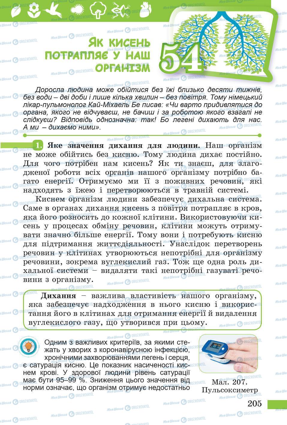 Підручники Природознавство 5 клас сторінка 205