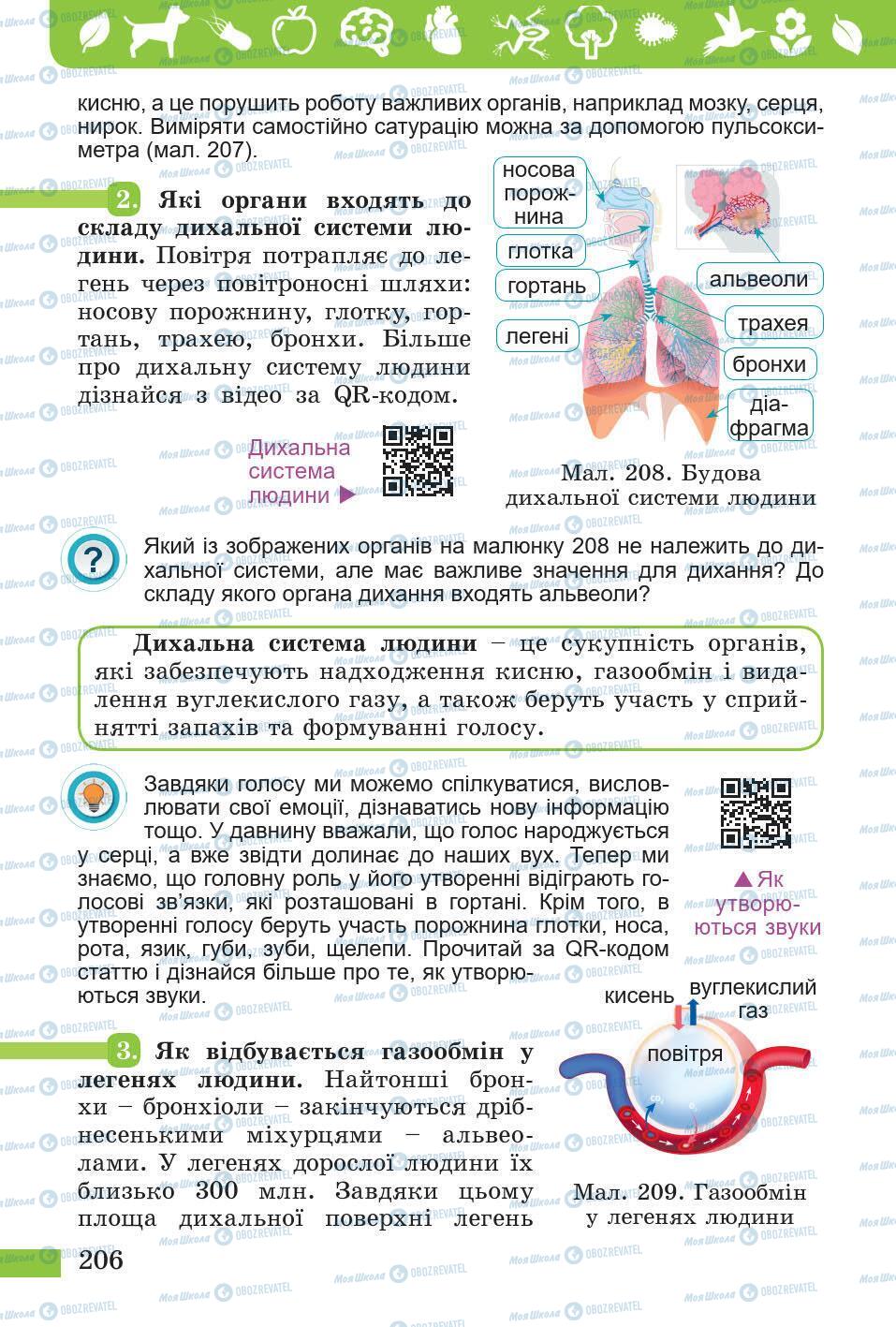 Підручники Природознавство 5 клас сторінка 206