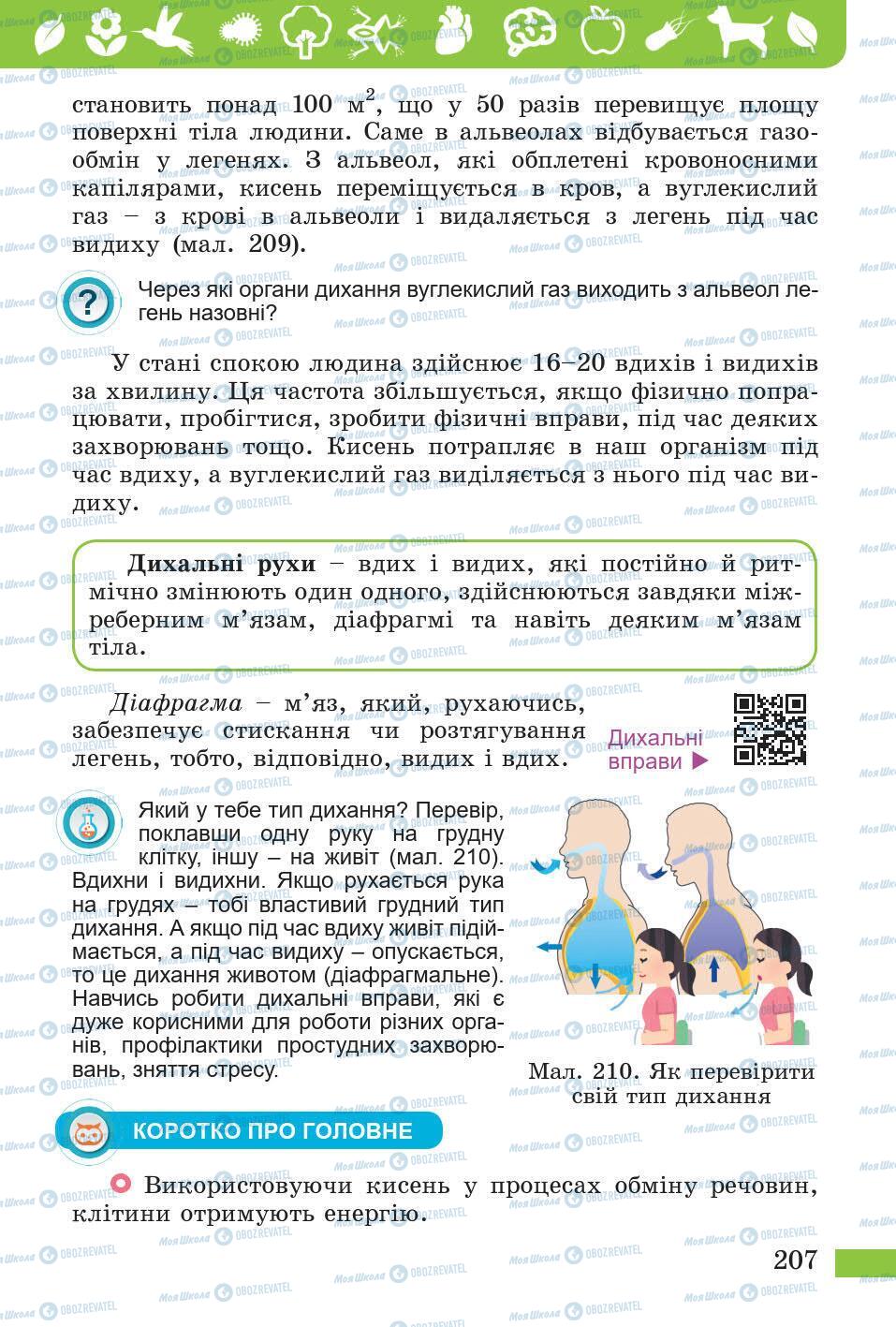 Підручники Природознавство 5 клас сторінка 207