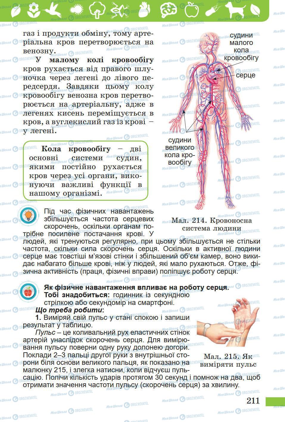 Учебники Природоведение 5 класс страница 211