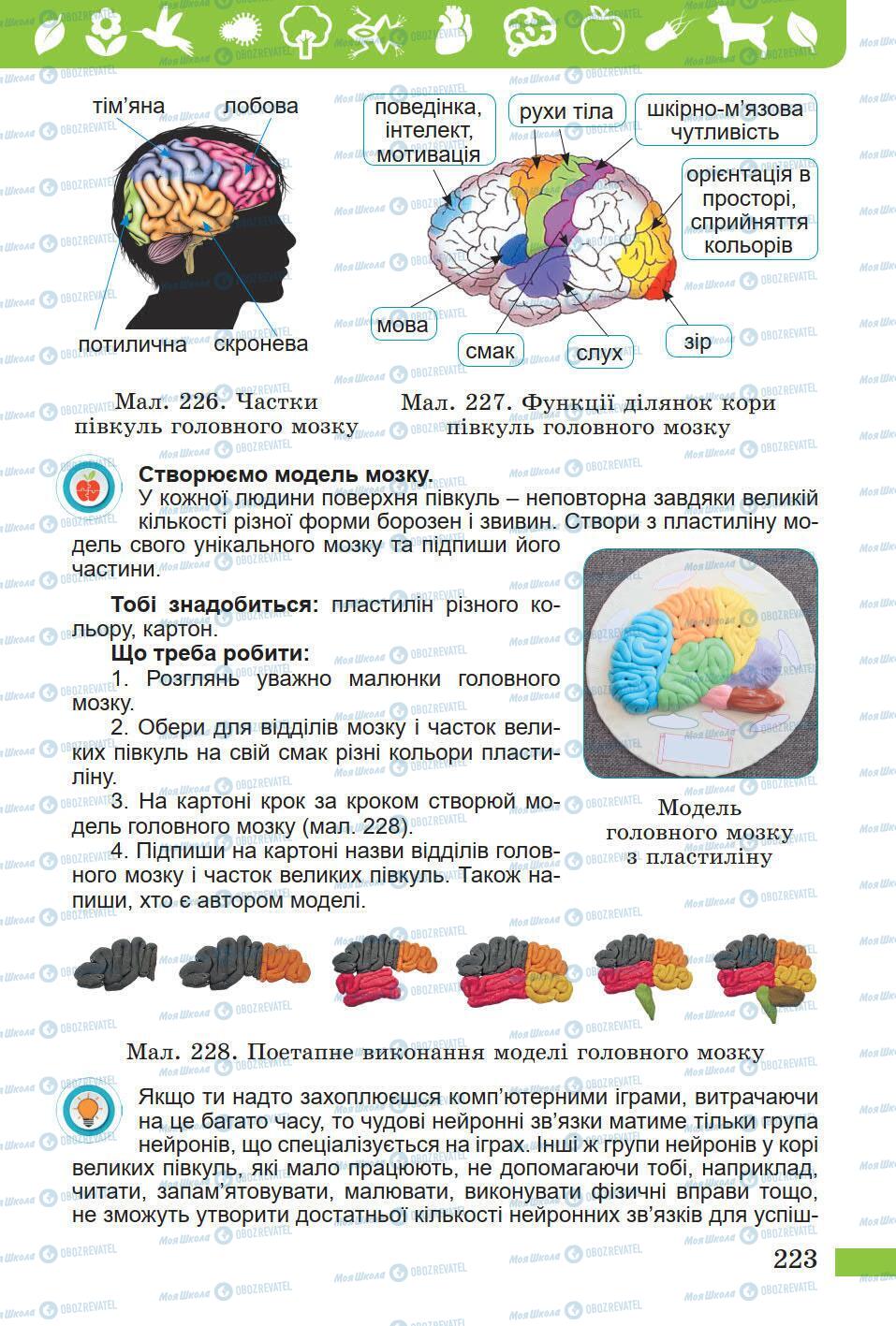 Підручники Природознавство 5 клас сторінка 223