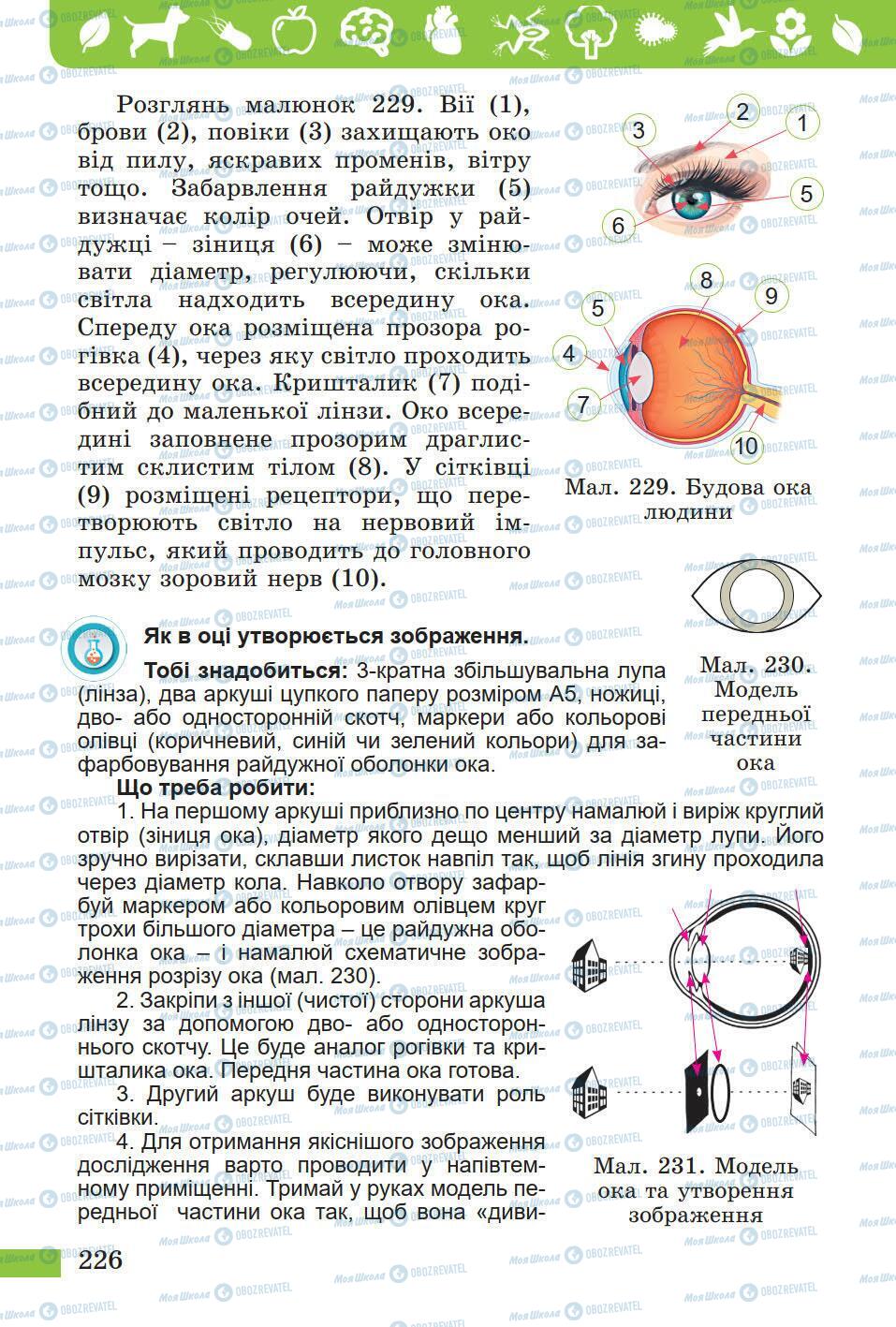 Підручники Природознавство 5 клас сторінка 226