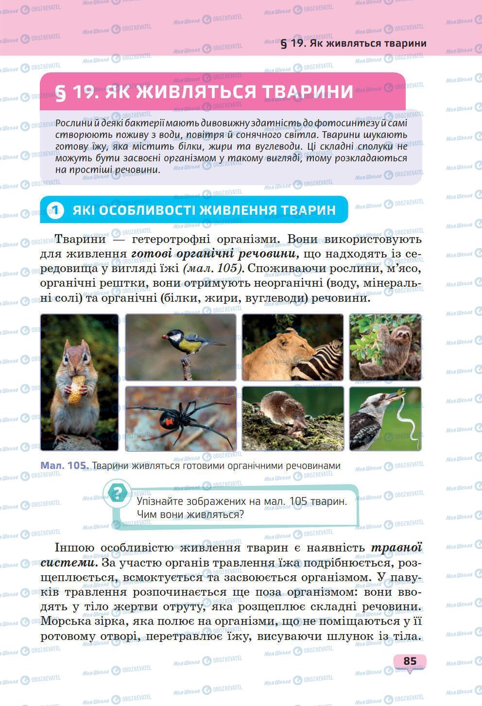 Підручники Природознавство 6 клас сторінка 85