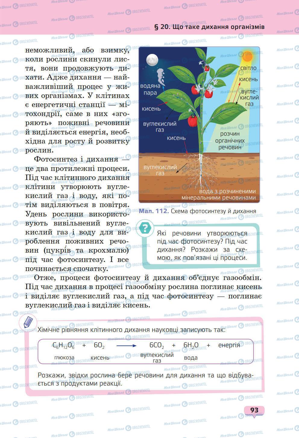 Підручники Природознавство 6 клас сторінка 93