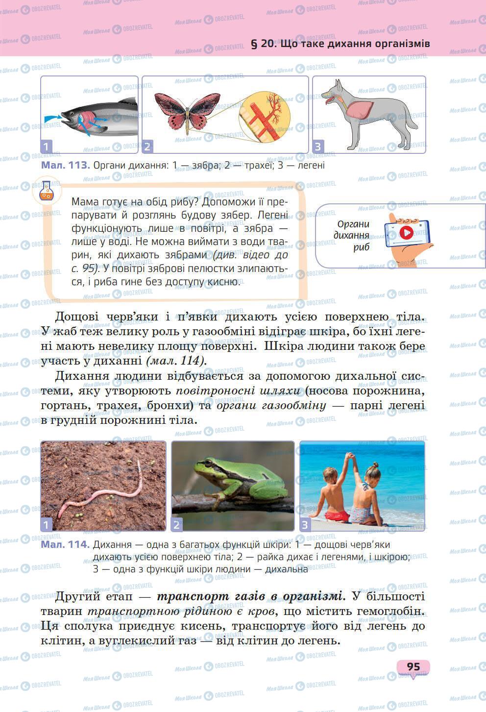 Учебники Природоведение 6 класс страница 95